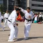 Exitosa y fraternal Mega Clase de Taichi 2024 en el Monumento a la Revolución (52)