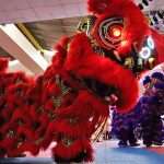 Gran dosis de energía en Torneo Kung Fu Panda y Campeonato Capitalino de Wushu 2025 (11)