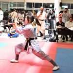 Gran dosis de energía en Torneo Kung Fu Panda y Campeonato Capitalino de Wushu 2025 (21)