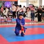Gran dosis de energía en Torneo Kung Fu Panda y Campeonato Capitalino de Wushu 2025 (23)