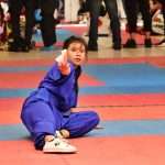 Gran dosis de energía en Torneo Kung Fu Panda y Campeonato Capitalino de Wushu 2025 (31)