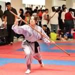 Gran dosis de energía en Torneo Kung Fu Panda y Campeonato Capitalino de Wushu 2025 (34)