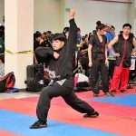 Gran dosis de energía en Torneo Kung Fu Panda y Campeonato Capitalino de Wushu 2025 (36)