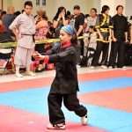 Gran dosis de energía en Torneo Kung Fu Panda y Campeonato Capitalino de Wushu 2025 (43)