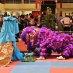 Gran dosis de energía en Torneo Kung Fu Panda y Campeonato Capitalino de Wushu 2025 (54)