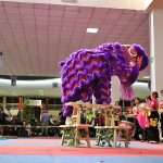 Gran dosis de energía en Torneo Kung Fu Panda y Campeonato Capitalino de Wushu 2025 (55)