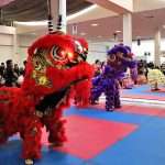 Gran dosis de energía en Torneo Kung Fu Panda y Campeonato Capitalino de Wushu 2025 (7)