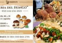 Ya viene la XXII Feria del Hongo de Cuajimalpa 2025 con Deliciosos Platillos para Fortalecer la Salud