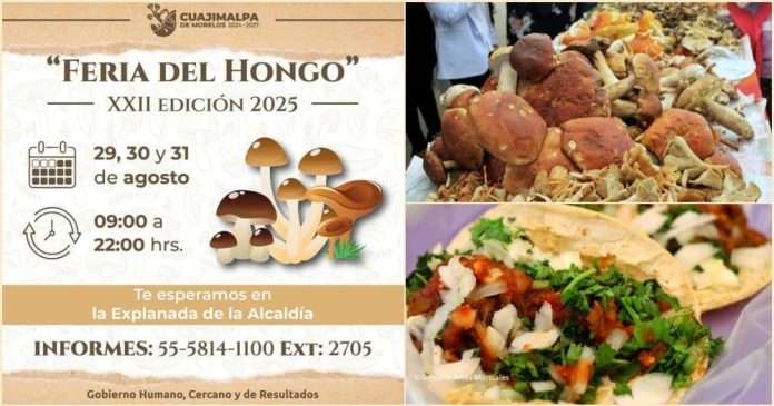 Ya viene la XXII Feria del Hongo de Cuajimalpa 2025 con Deliciosos Platillos para Fortalecer la Salud