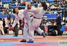 La AKCDMX Lanza Convocatoria Abierta para Copa por el Bien del Karatedo