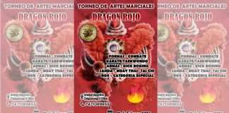 Chilpancingo se prepara para el Torneo Nacional de Artes Marciales “Dragón Rojo” 2026 Chilpancingo se prepara para el Torneo Nacional de Artes Marciales Dragón Rojo 2026