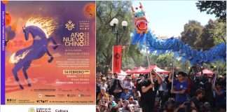 El CENART celebrará el 5° Festival Cultural del Año Nuevo Chino 2026 “Caballo de Fuego” Presentación de la Danza del Dragón y del León durante el Festival Cultural del Año Nuevo Chino en el CENART.