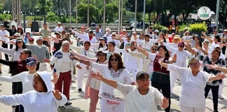 Harvard revela que el Taichí puede aumentar el tamaño de tu cerebro Harvard revela que el Taichi puede aumentar el tamaño de tu cerebro