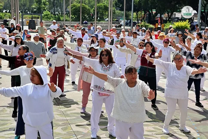 Harvard revela que el Taichi puede aumentar el tamaño de tu cerebro