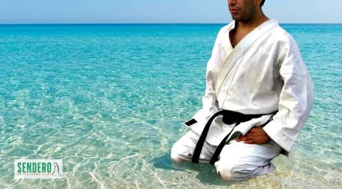 Mokuso: Meditación de las Artes Marciales para el día a día