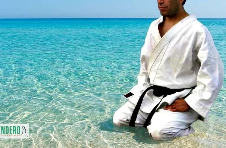 Mokuso: Meditación de las Artes Marciales para el día a día es la herramienta que nos permite transitar del caos del mundo exterior hacia la precisión del entrenamiento y las exigencias de la vida cotidiana.