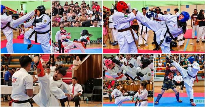 11 Torneo “Never Back Down”, una explosión de Karate Full Contact en la CDMX