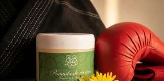 Árnica: El aliado indispensable para la recuperación del artemarcialista Pomada artesanal de árnica para curación de golpes en las artes marciales - Sendero Artes Marciales