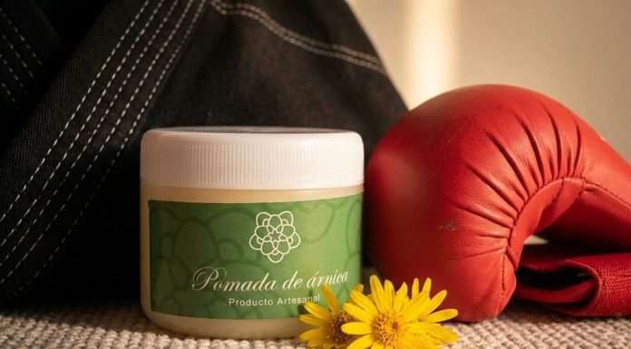 Árnica: El aliado indispensable para la recuperación del artemarcialista Pomada artesanal de árnica para curación de golpes en las artes marciales - Sendero Artes Marciales