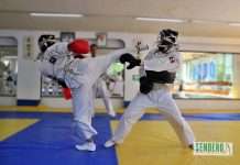 ¡Destino Italia! La Selección Mexicana de Nippon Kempo lista para un gran reto Internacional ¡Destino Italia! La Selección Mexicana de Nippon Kempo lista para un gran reto Internacional