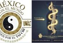 Qigong de la Serpiente, Fluidez y salud para la columna en “Taichi por tu Salud” Qigong de la Serpiente, Fluidez y salud para la columna en "Taichi por tu Salud"