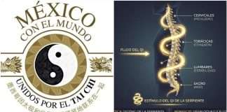 Qigong de la Serpiente, Fluidez y salud para la columna en “Taichi por tu Salud” Qigong de la Serpiente, Fluidez y salud para la columna en "Taichi por tu Salud"