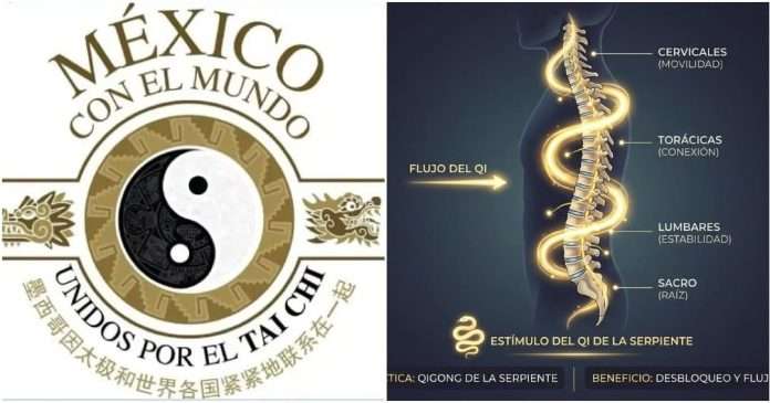 Qigong de la Serpiente, Fluidez y salud para la columna en "Taichi por tu Salud"