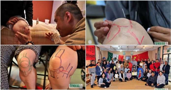 Maestros de Shaolin enseñando puntos de acupuntura en el taller Rodillas Sanas México