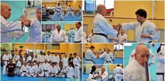 Seminario de Okinawa Karate Shito Ryu y Kobudo Bunkukan 2026 celebró cinco años de Ryukyu Shito Ryu México El Seminario de Okinawa Karate Shito Ryu y Kobudo Bunkukan 2026 celebró cinco años de Ryukyu Shito Ryu México