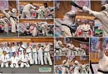 La Asociación Gessi Krame celebra 50 años del Karate Kyokushin en México con una vibrante exhibición La Asociación Gessi Krame celebra 50 años del Karate Kyokushin en México con una vibrante exhibición