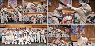 La Asociación Gessi Krame celebra 50 años del Karate Kyokushin en México con una vibrante exhibición La Asociación Gessi Krame celebra 50 años del Karate Kyokushin en México con una vibrante exhibición