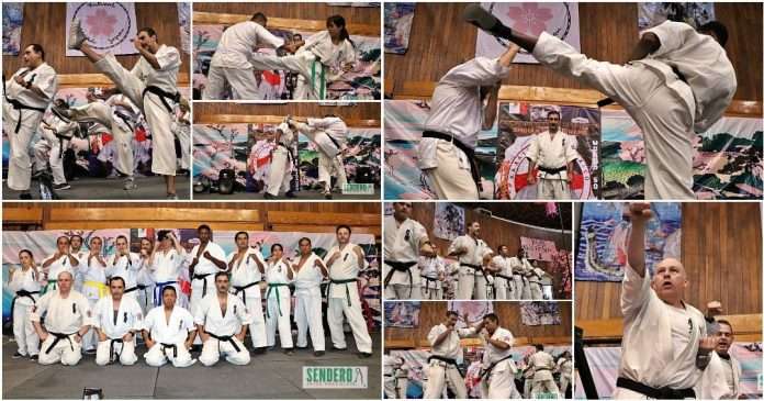 La Asociación Gessi Krame celebra 50 años del Karate Kyokushin en México con una vibrante exhibición La Asociación Gessi Krame celebra 50 años del Karate Kyokushin en México con una vibrante exhibición