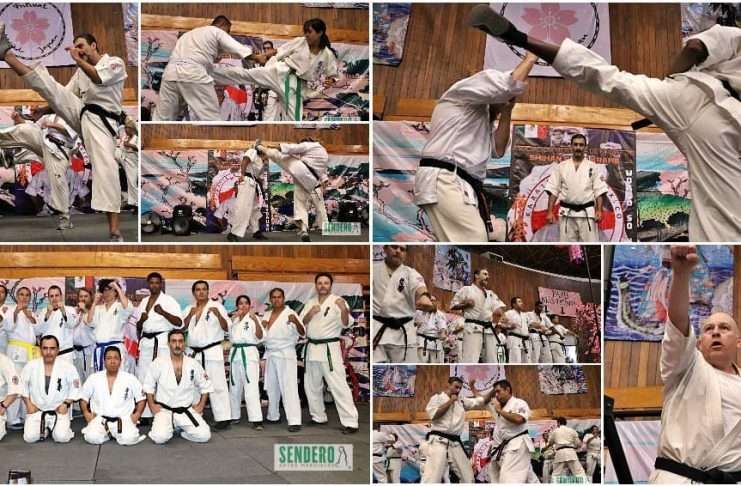 La Asociación Gessi Krame celebra 50 años del Karate Kyokushin en México con una vibrante exhibición La Asociación Gessi Krame celebra 50 años del Karate Kyokushin en México con una vibrante exhibición