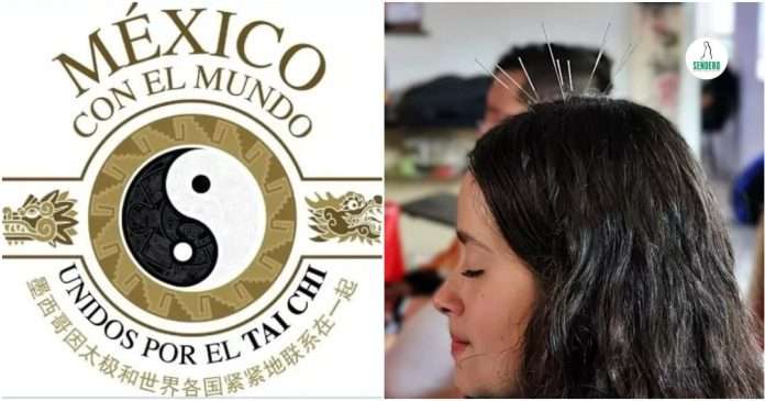 Paciente recibiendo tratamiento de acupuntura craneal en el programa Taichí por tu Salud de Sendero Artes Marciales.