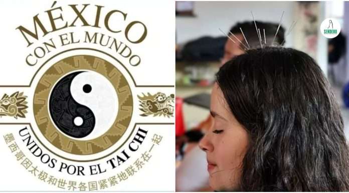 Mitos y verdades de la Acupuntura: El eje central en la nueva emisión de “Taichí por tu Salud” Paciente recibiendo tratamiento de acupuntura craneal en el programa Taichí por tu Salud de Sendero Artes Marciales.