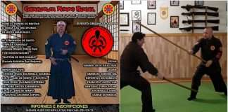 La Genbukan Ninpo Bugei anuncia Seminario de Armas Tradicionales Japonesas en Xochimilco Practicante de artes marciales tradicionales japonesas ejecutando una técnica con Boken.