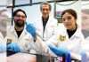 Medicina del futuro para las artes marciales, gracias a Científicos del IPN que logran regenerar cartílago, hueso y músculo Científicos del IPN trabajando en laboratorio de biomedicina con cultivos de células madre.