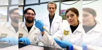 Medicina del futuro para las artes marciales, gracias a Científicos del IPN que logran regenerar cartílago, hueso y músculo Científicos del IPN trabajando en laboratorio de biomedicina con cultivos de células madre.