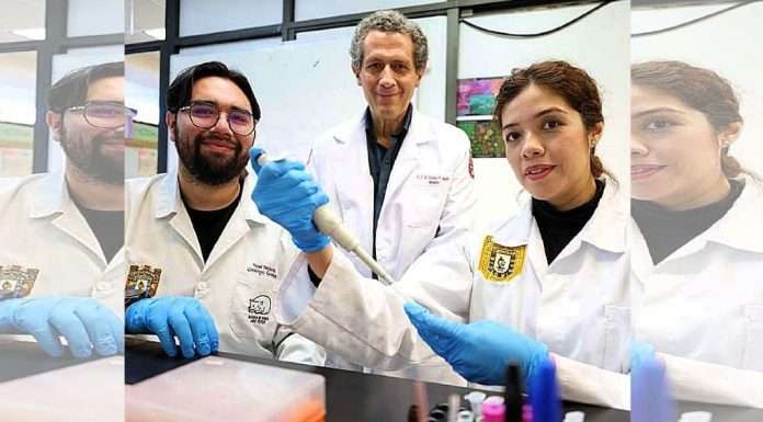 Medicina del futuro para las artes marciales, gracias a Científicos del IPN que logran regenerar cartílago, hueso y músculo Científicos del IPN trabajando en laboratorio de biomedicina con cultivos de células madre.
