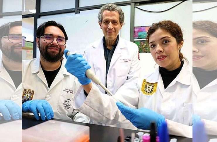 Medicina del futuro para las artes marciales, gracias a Científicos del IPN que logran regenerar cartílago, hueso y músculo Científicos del IPN trabajando en laboratorio de biomedicina con cultivos de células madre.