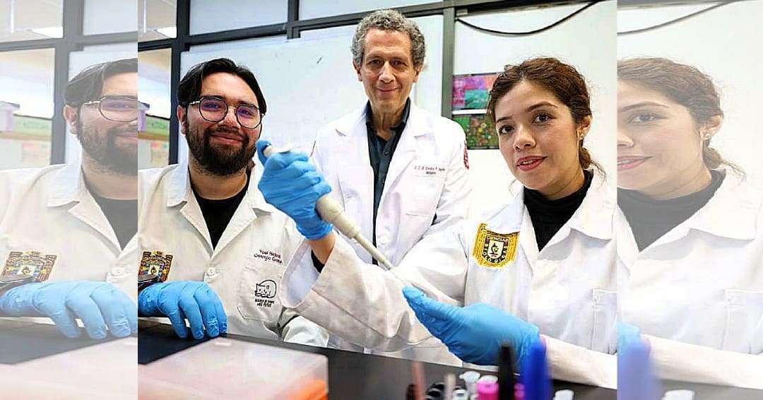 Científicos del IPN trabajando en laboratorio de biomedicina con cultivos de células madre.