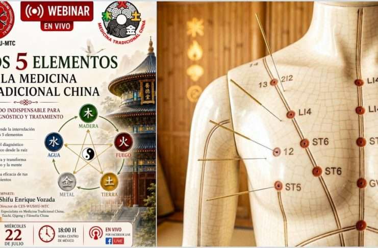 ¿Sabías que tu cuerpo se rige por los 5 Elementos de la Naturaleza? Conócelos en Acupuntura, el Arte de Fortalecer la Salud Agujas de acupuntura y símbolos de los 5 Elementos de la Medicina Tradicional China.