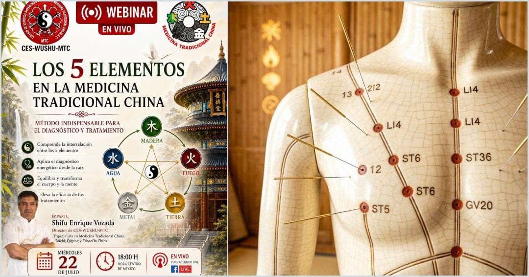 Agujas de acupuntura y símbolos de los 5 Elementos de la Medicina Tradicional China.