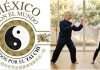 “Taichi por tu Salud” revelará el primer movimiento de la Forma 8 y la ciencia del Qigong Instructores de Taichi mostrando la Forma 8 estilo Yang para la transmisión en vivo.