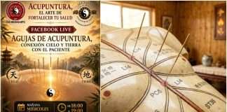 El efecto de las agujas y la respuesta del Qi en Acupuntura, el Arte de Fortalecer la Salud Inserción de aguja de acupuntura representando la sensación acupuntural Deqi.