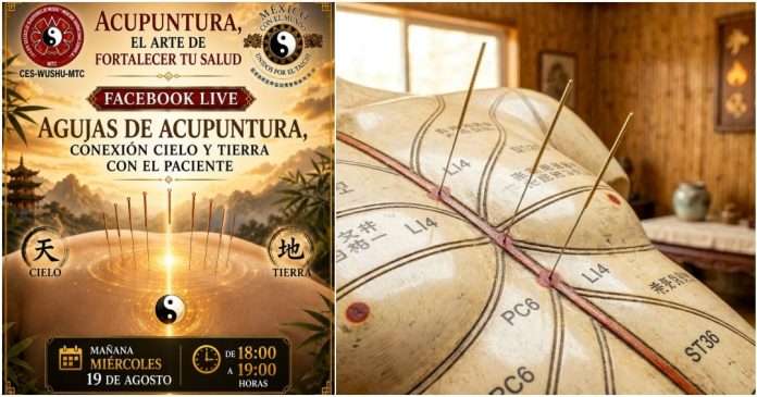 El efecto de las agujas y la respuesta del Qi en Acupuntura, el Arte de Fortalecer la Salud Inserción de aguja de acupuntura representando la sensación acupuntural Deqi.