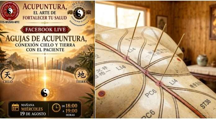 El efecto de las agujas y la respuesta del Qi en Acupuntura, el Arte de Fortalecer la Salud Inserción de aguja de acupuntura representando la sensación acupuntural Deqi.