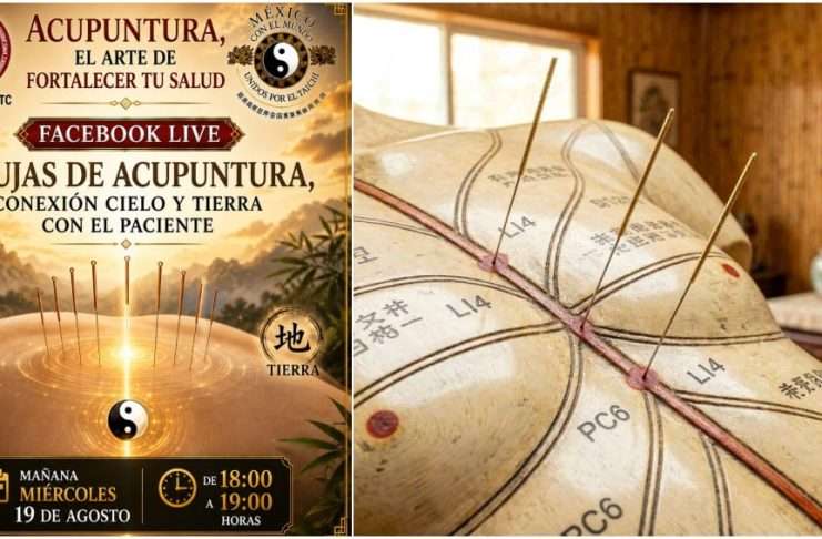 El efecto de las agujas y la respuesta del Qi en Acupuntura, el Arte de Fortalecer la Salud Inserción de aguja de acupuntura representando la sensación acupuntural Deqi.