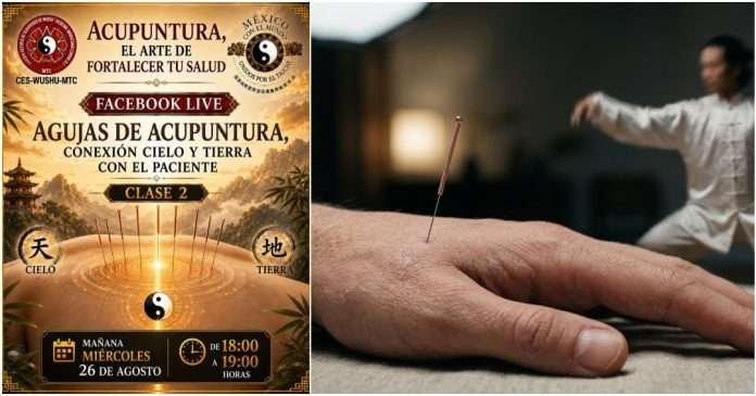 El misterio del Deqi y la acupuntura en la segunda clase en vivo sobre Medicina Tradicional China Aplicación de aguja de acupuntura para estimular el flujo energético del Deqi en Medicina Tradicional China.