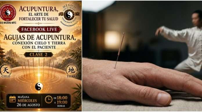 El misterio del “Deqi” y la acupuntura en la segunda clase en vivo sobre Medicina Tradicional China Aplicación de aguja de acupuntura para estimular el flujo energético del Deqi en Medicina Tradicional China.